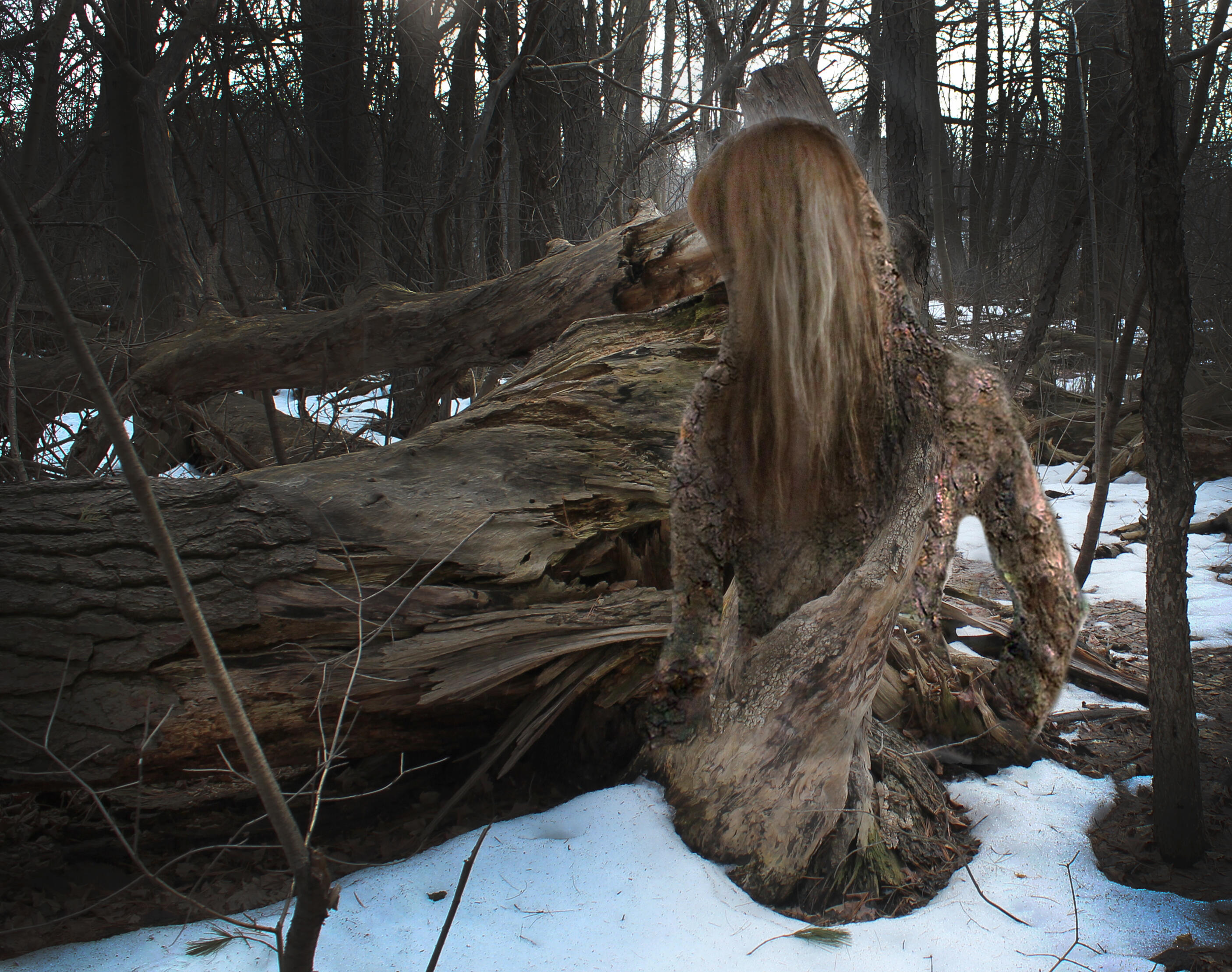 Untitled Untitled
