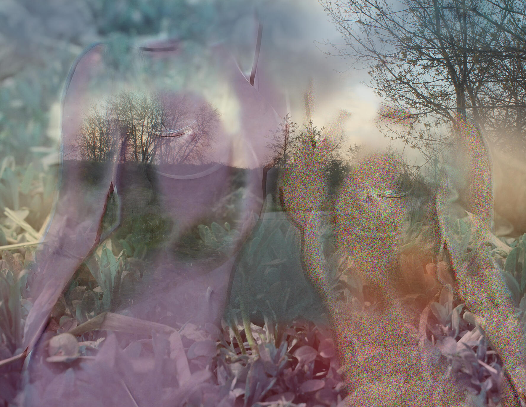 Reflections