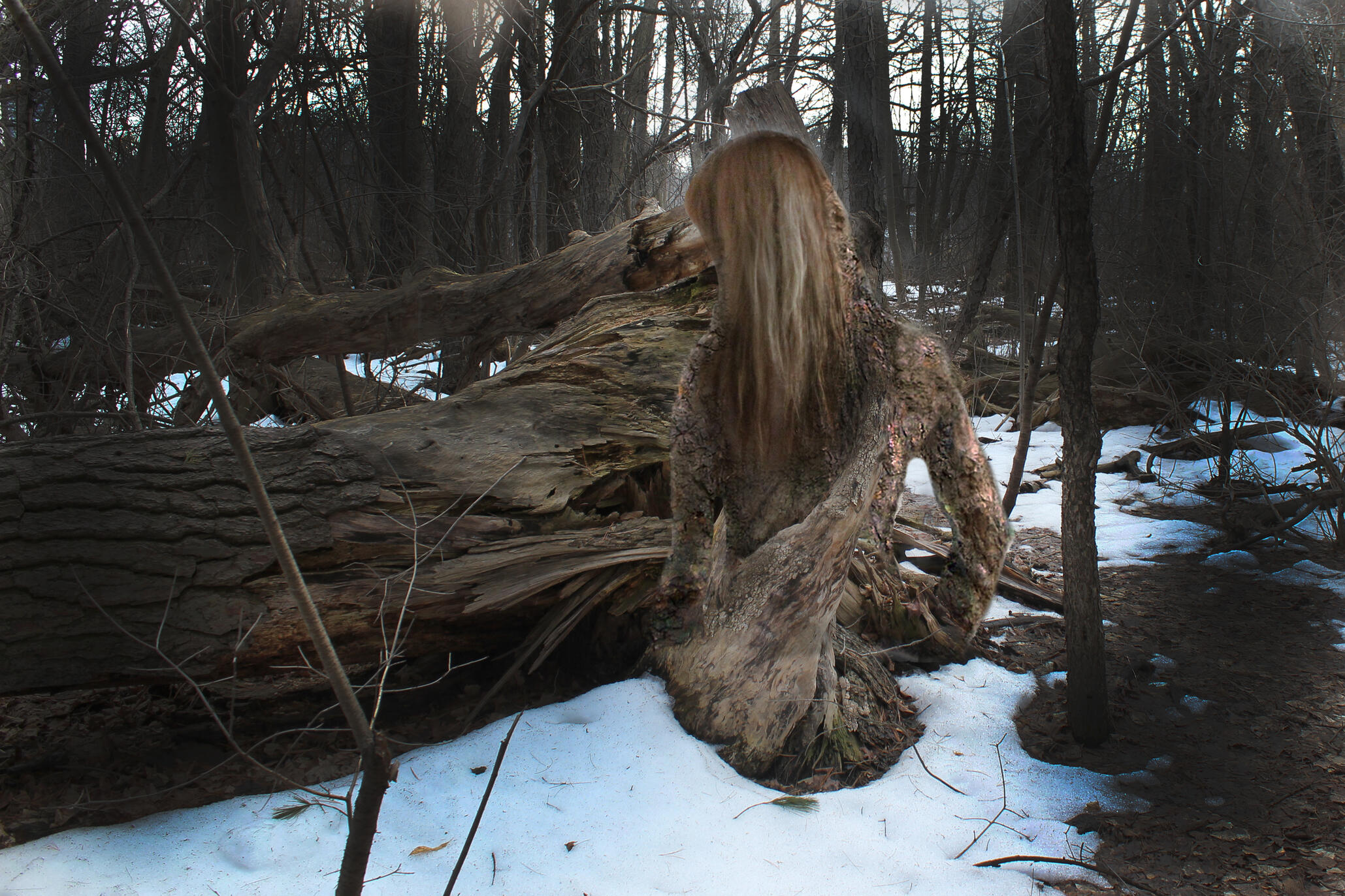 I Am The Deadwood